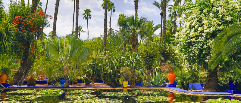 The Majorelle Garden is a botanical garden and artist's landscape garden in Marrakech, Morocco