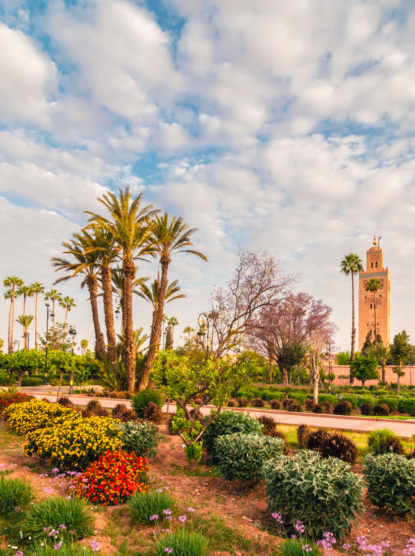 Landscape with garden and Koutoubia Mosque on Marrakesh, Morocco