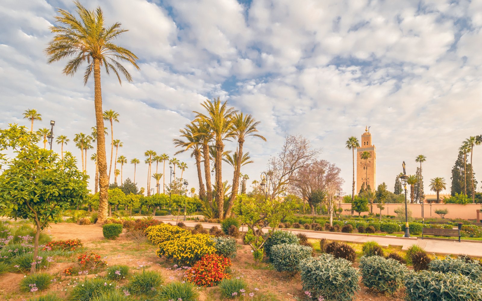 Besuchen Sie die faszinierenden Gärten von Marrakesch | Evaneos