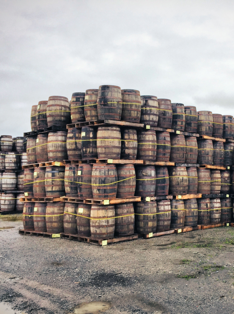 Whiskey barrels in a distillery