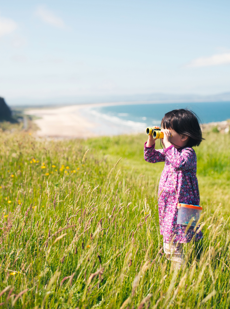 toddler girl playing exploration at sunny summer countryside,Northern Ireland
