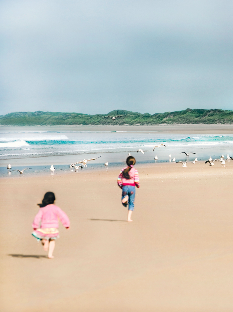 Children running towards seagulls on the beach