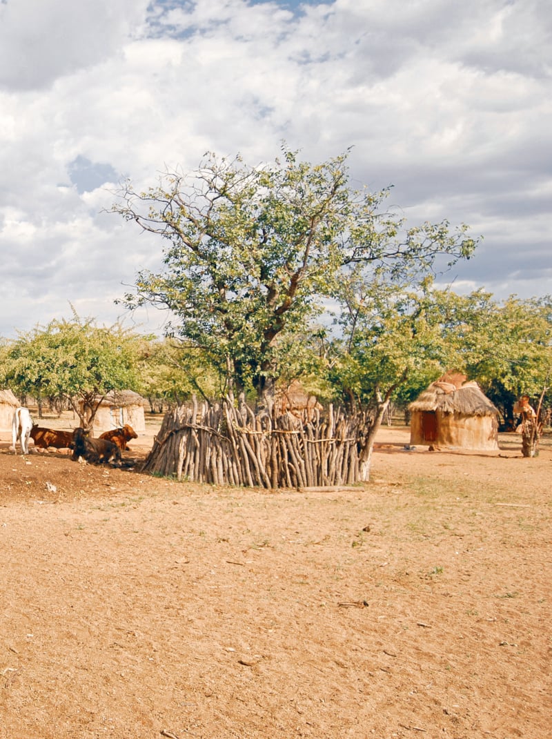 Village d'Himba avec des huttes traditionnelles près du parc national d'Etosha en Namibie, Afrique