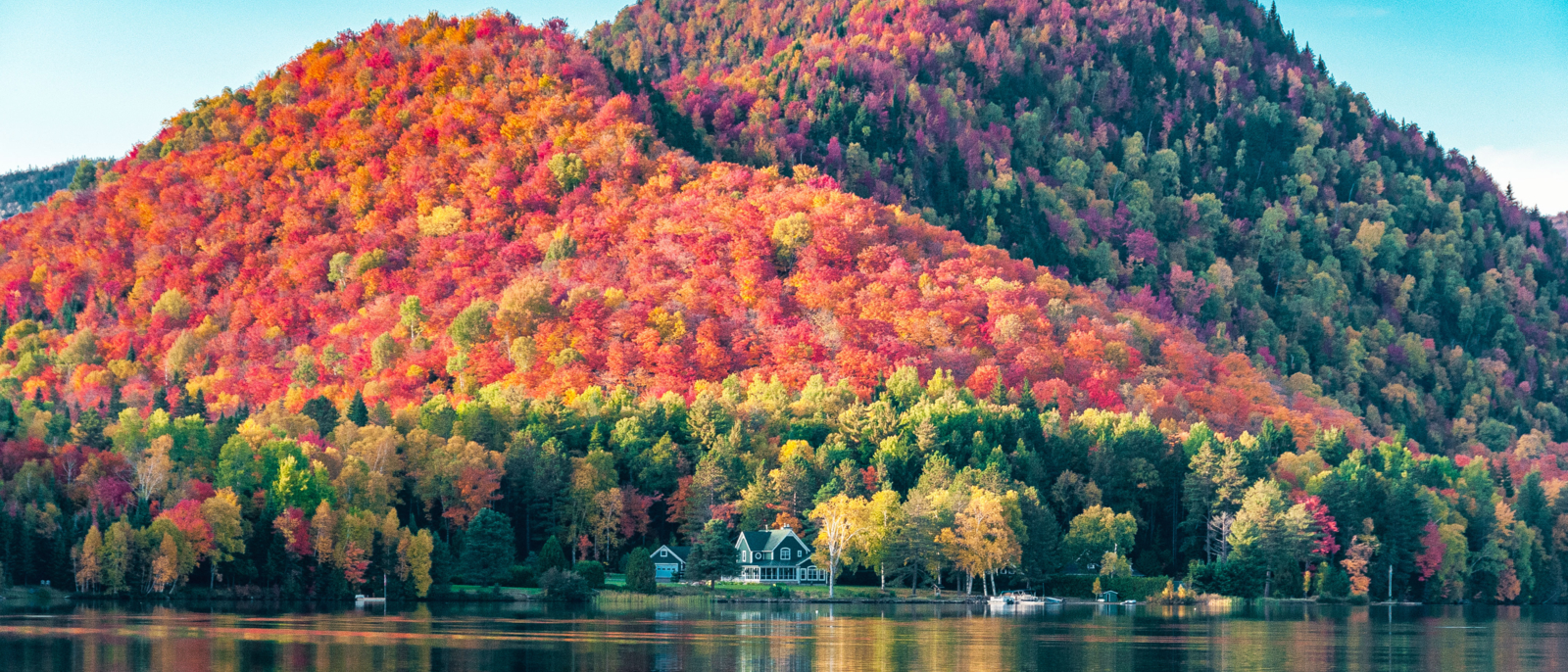The hills covered with red maple forests behind a wooden house on the shore of a lake in Quebec, on a beautiful autumn evening