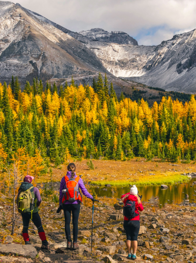 Les randonneurs explorent les montagnes en automne