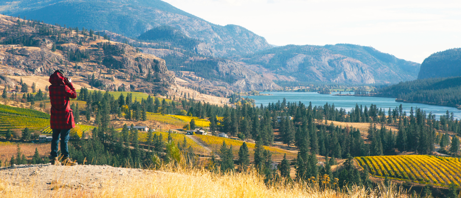 A young adult woman tourist taking a photography of the vineyards overlooking Vaseux Lake, Okanagan Falls, British Columbia, Canada.