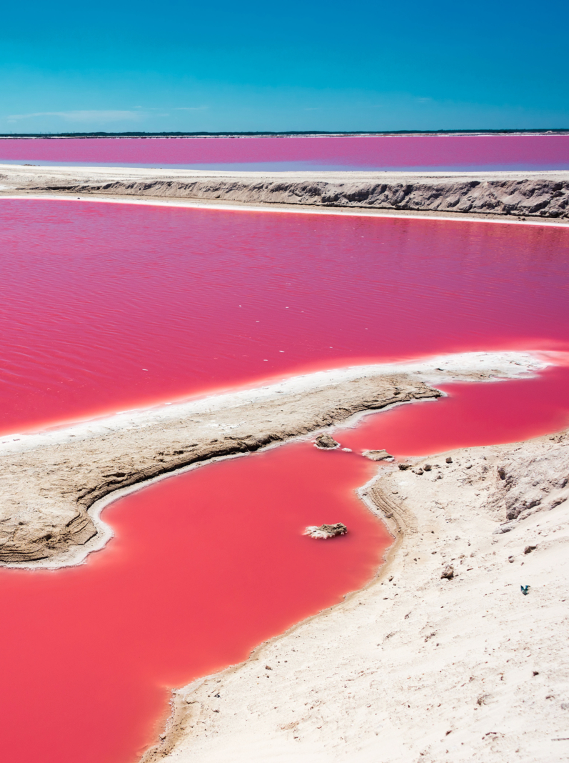 Striking red pool used in the production of salt near Rio Lagartos, Mexico