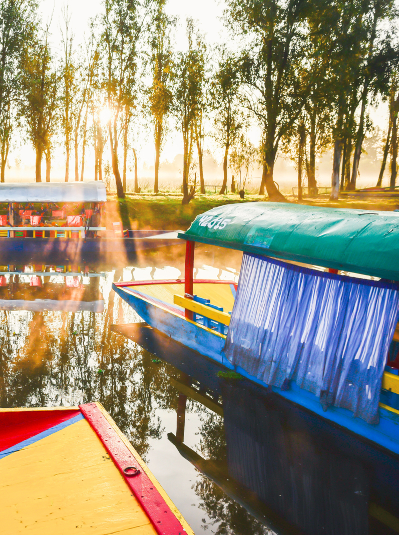 Traditional Mexican trajinera boat in Xochimilco channels and lake of Xochimilco at the sunrise in Mexico City