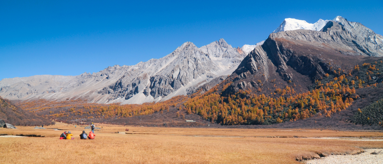 Colorful in autumn forest and snow mountain at Yading nature reserve, The last Shangri la, Daocheng-Yading, Sichuan, China