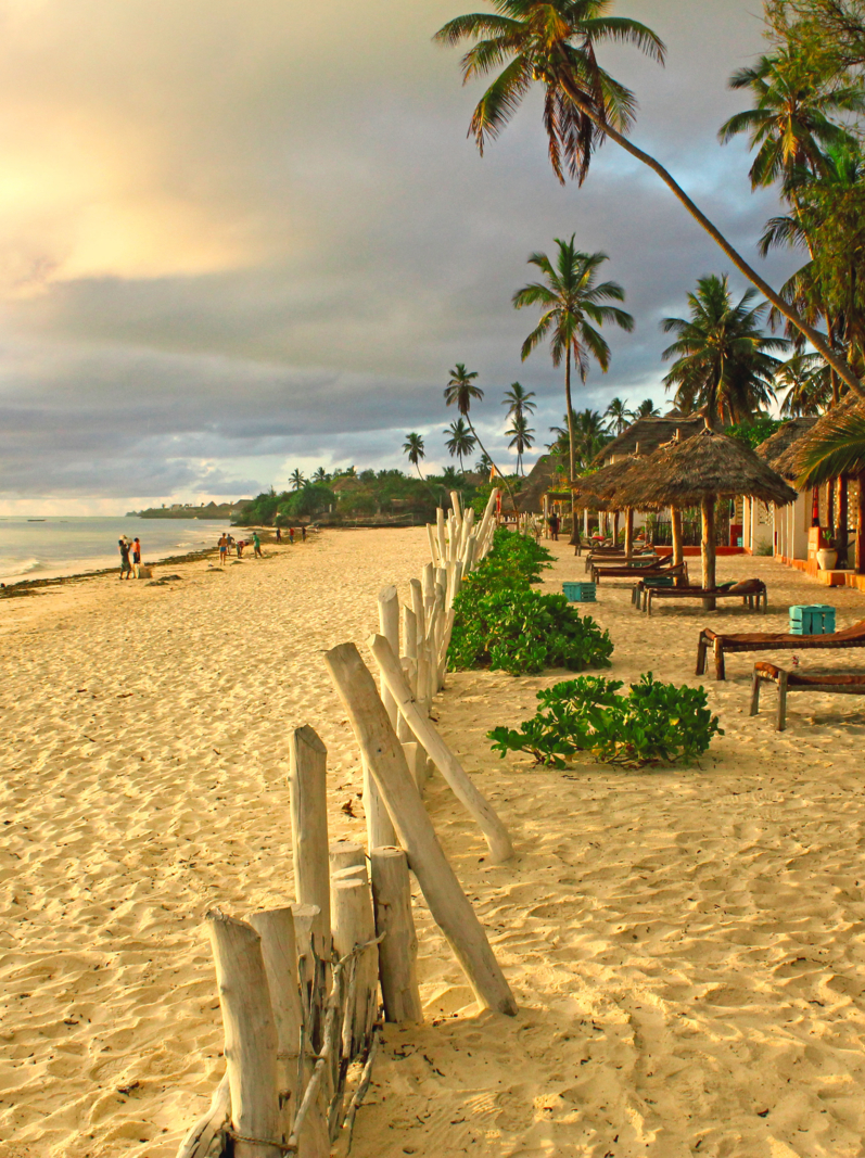 Tropical exotic beach Sunny morning in Zanzibar on Jambiani white sands