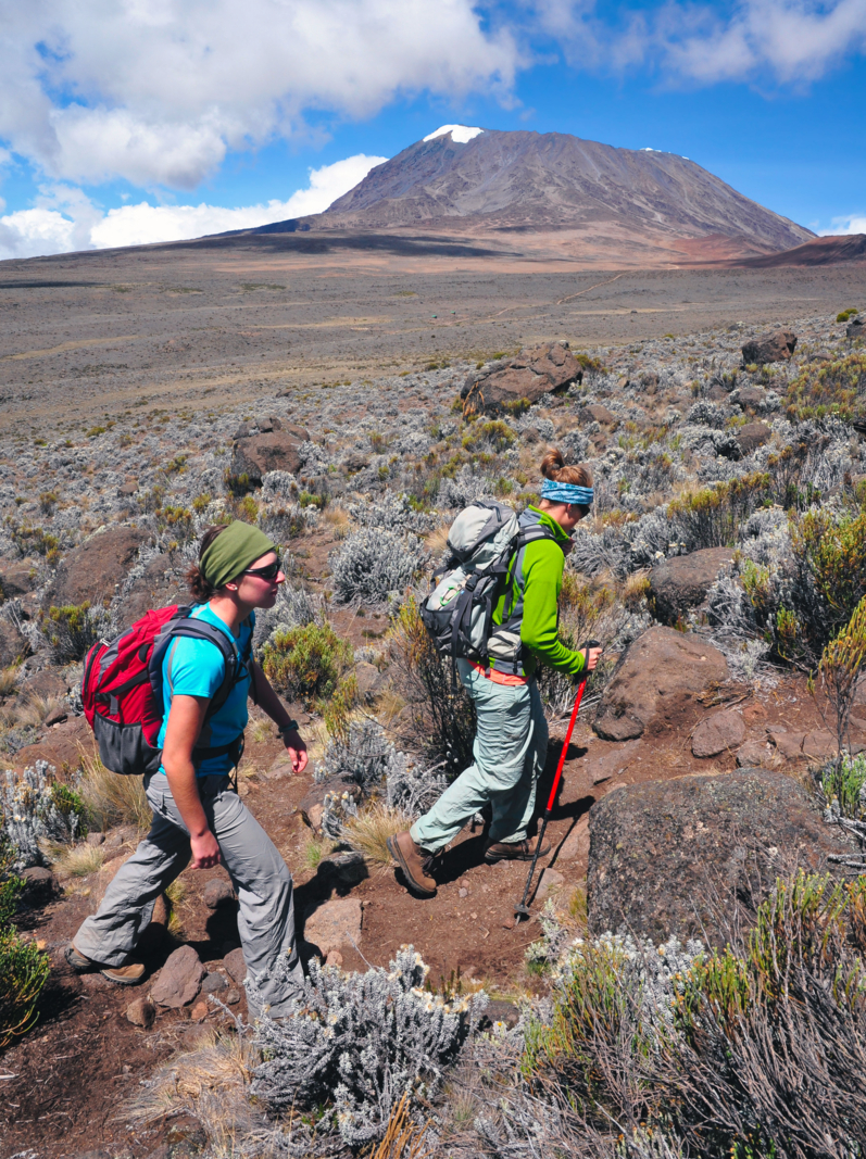 Randonnée Kilimandjaro