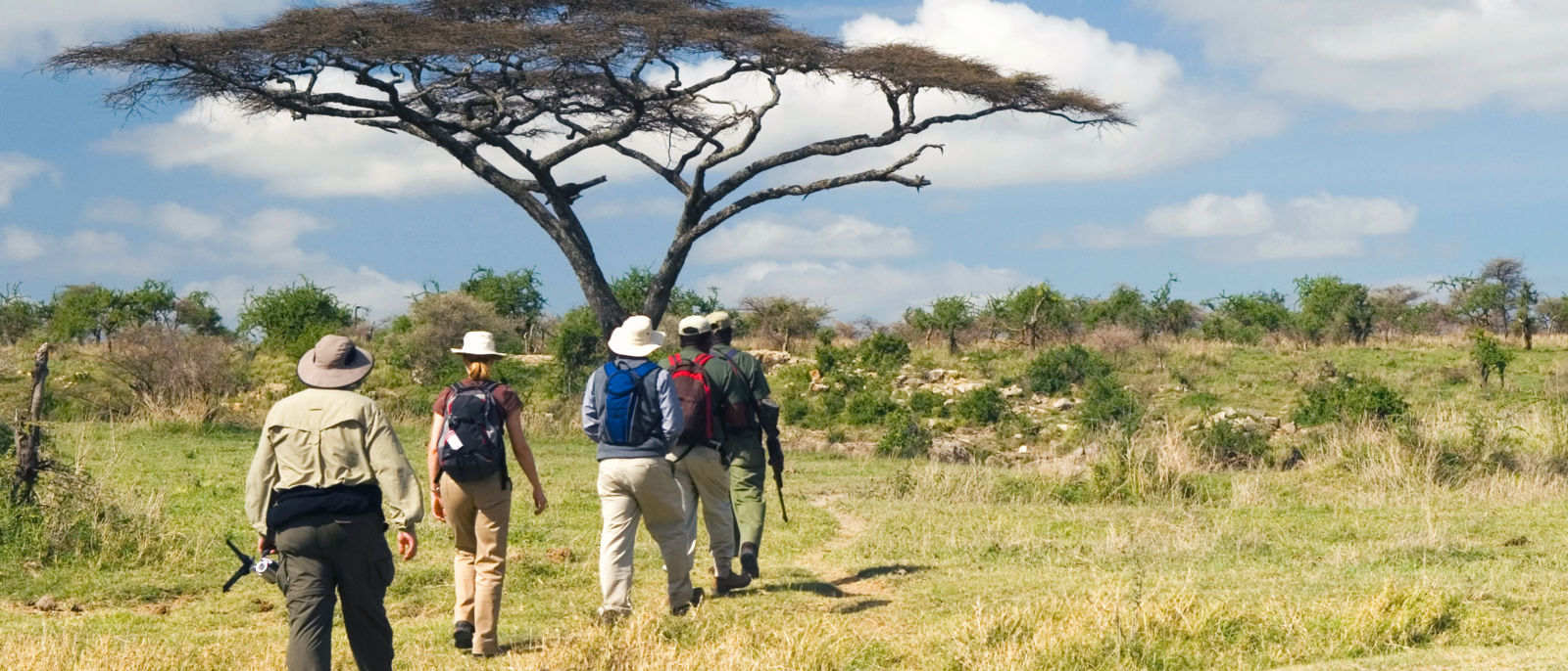 Group of travelers on a walking safari in Tanzania, approaching a flat-top acacia tree, with armed guide in the lead.