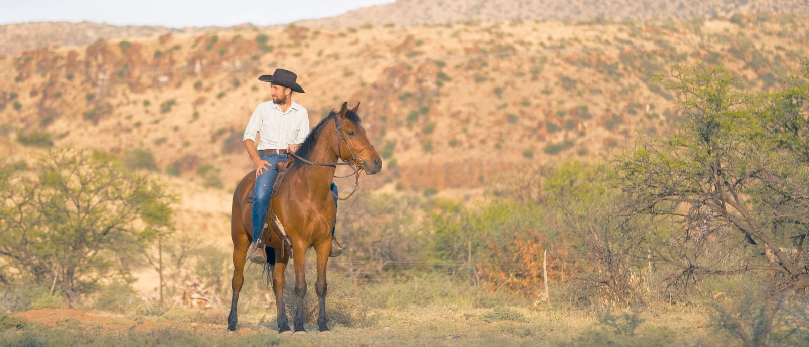 A Karoo farmer rides his horse on the lookout for cows