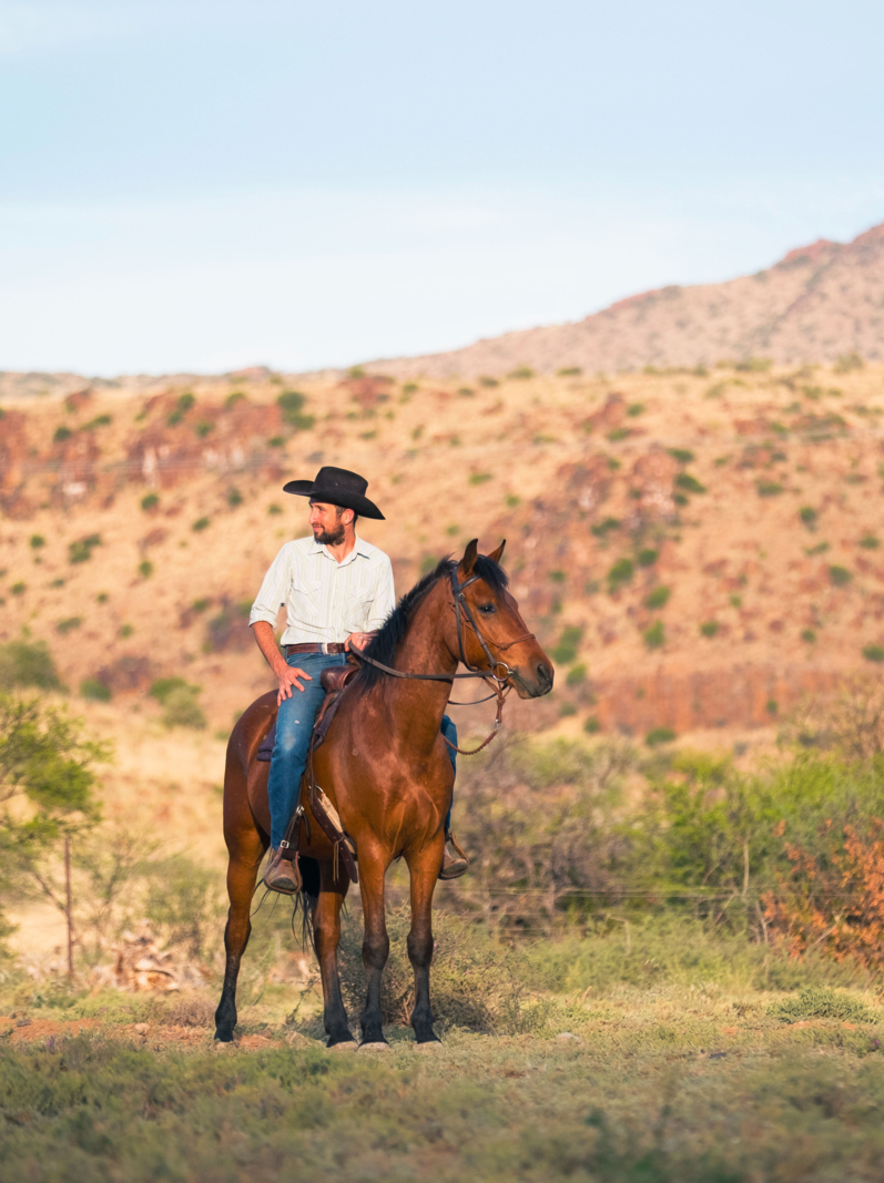 A Karoo farmer rides his horse on the lookout for cows