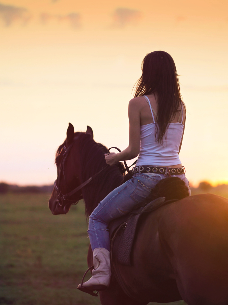 Young girl riding on horseback at sunset light