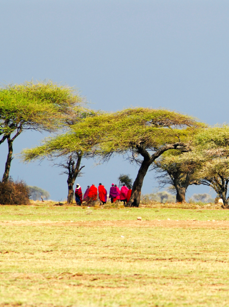 Maasai warriors portrait.