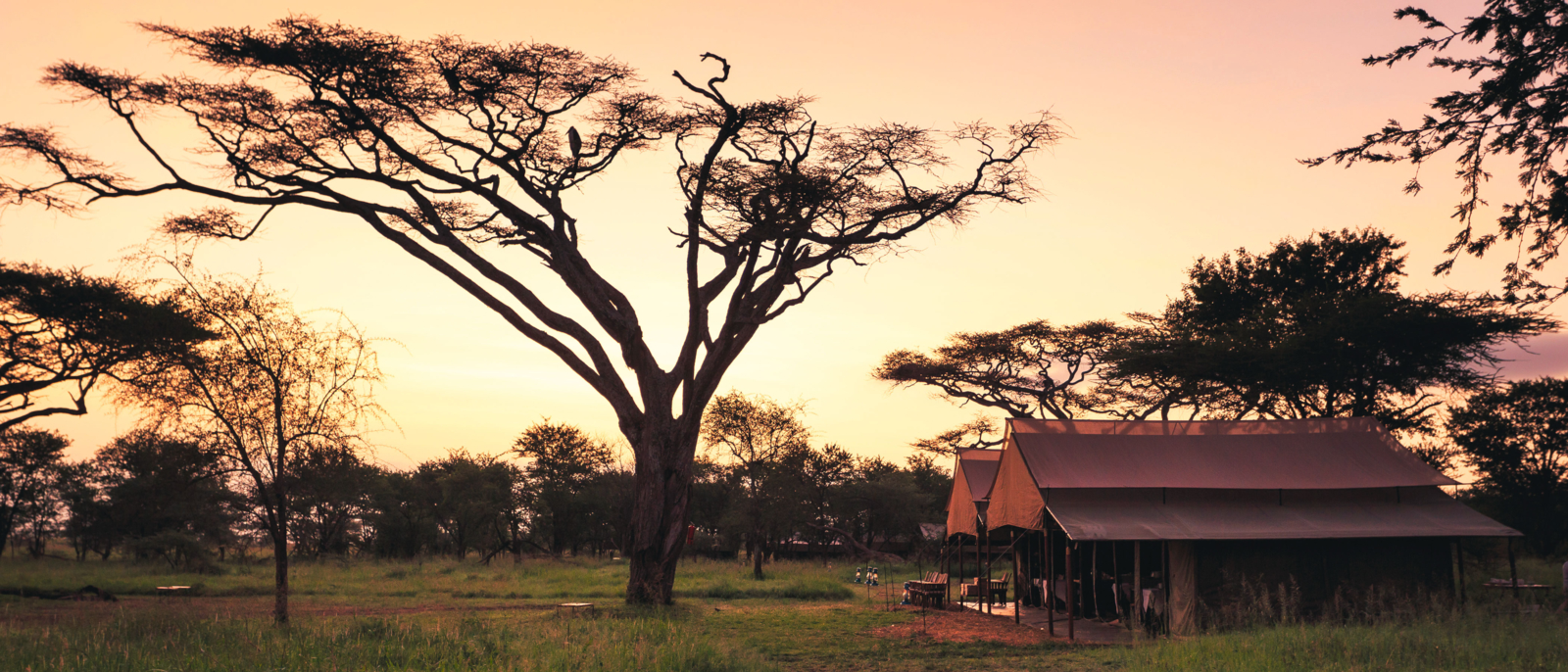 Serengeti Lodge Tanzanie