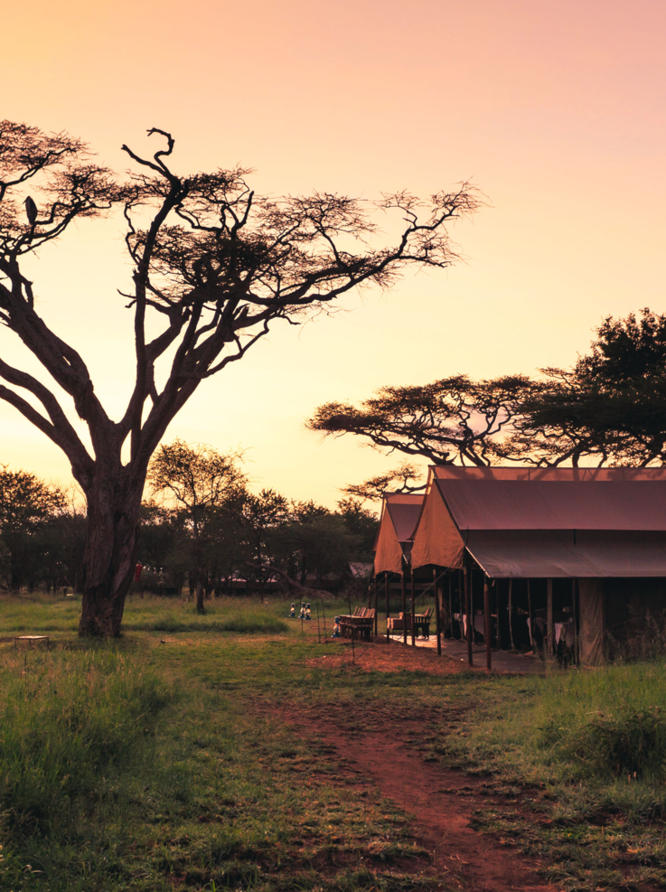 Serengeti Lodge Tanzanie