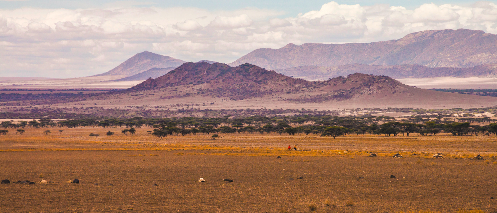 Olduvai plains in Tanzania, one of the cradles of humankind