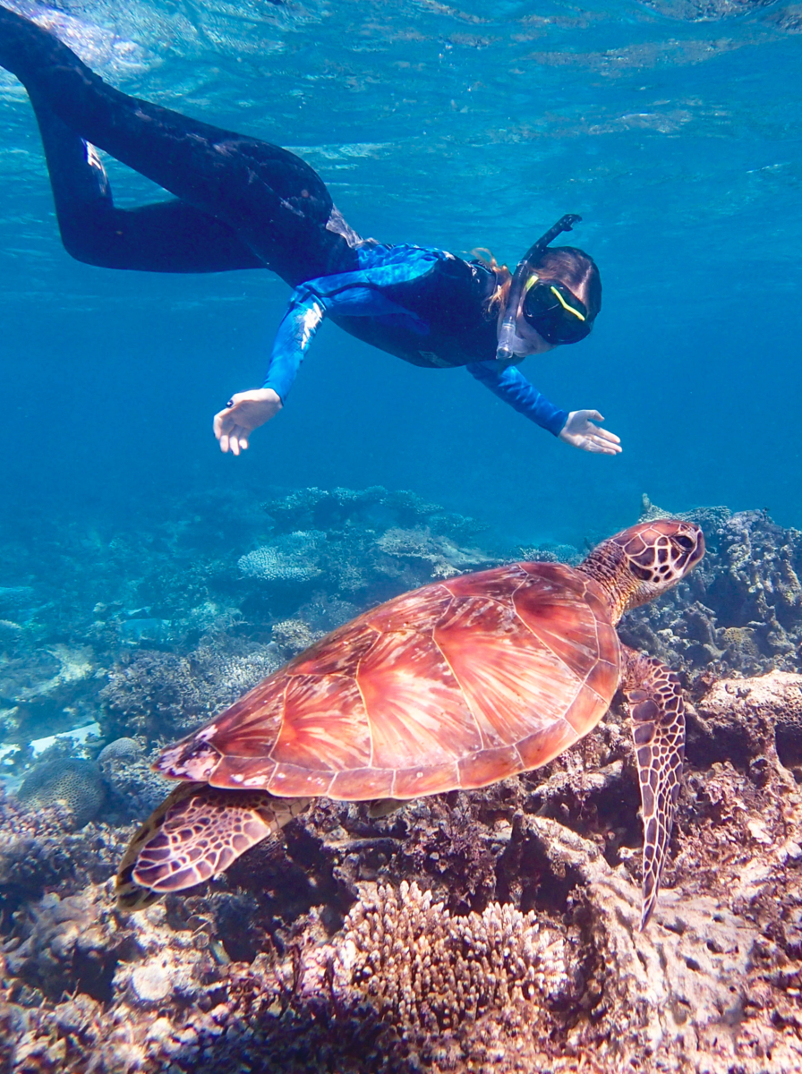 Tortue nageant avec un tuba à Ningaloo Reef