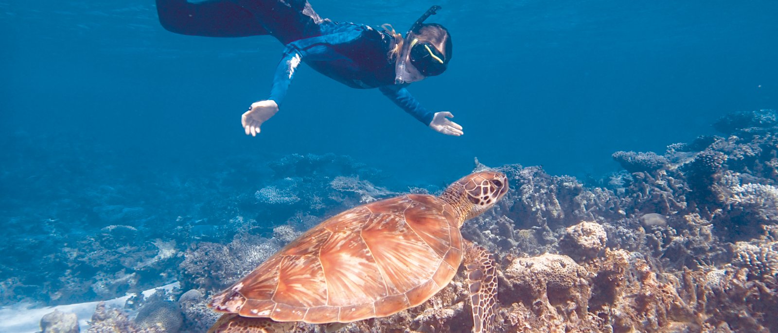 Tortue nageant avec un tuba à Ningaloo Reef
