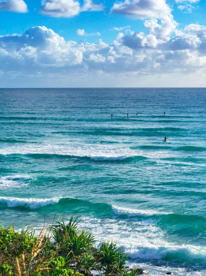 Stunning view of the Pacific Ocean and surfers catching waves in Tallebudgera Creek, visible from the Burleigh Head National Park on Gold Coast, Queensland, Australia.