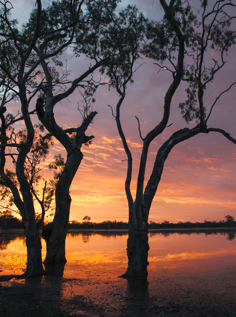 Sunset landscape, Outback Australia