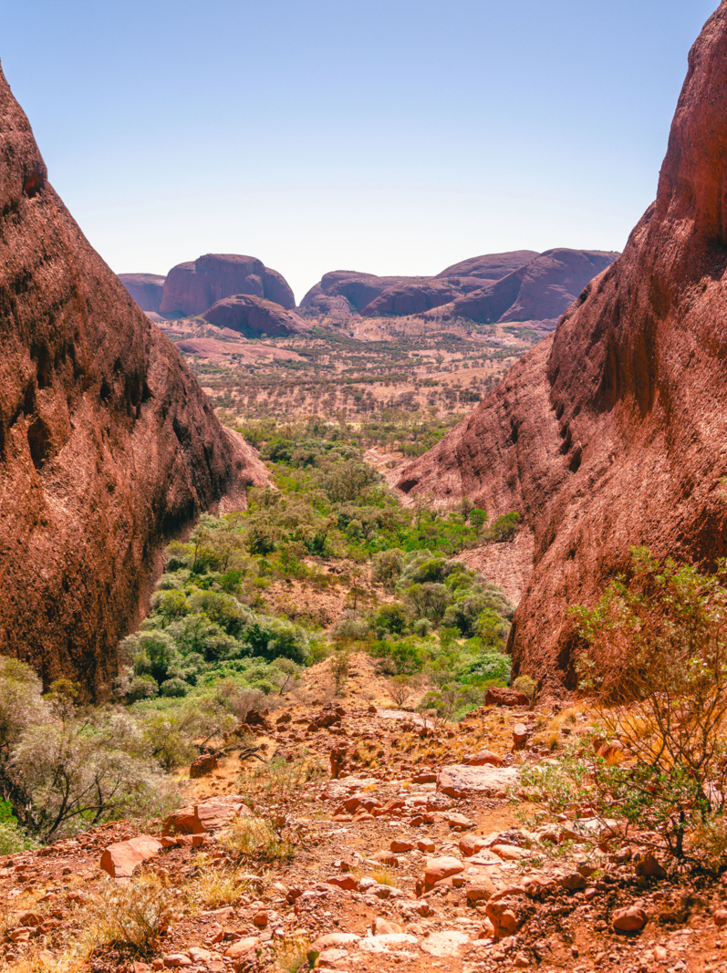 Landscape panorama from the Karingana lookout in the Olgas in NT outback Australia