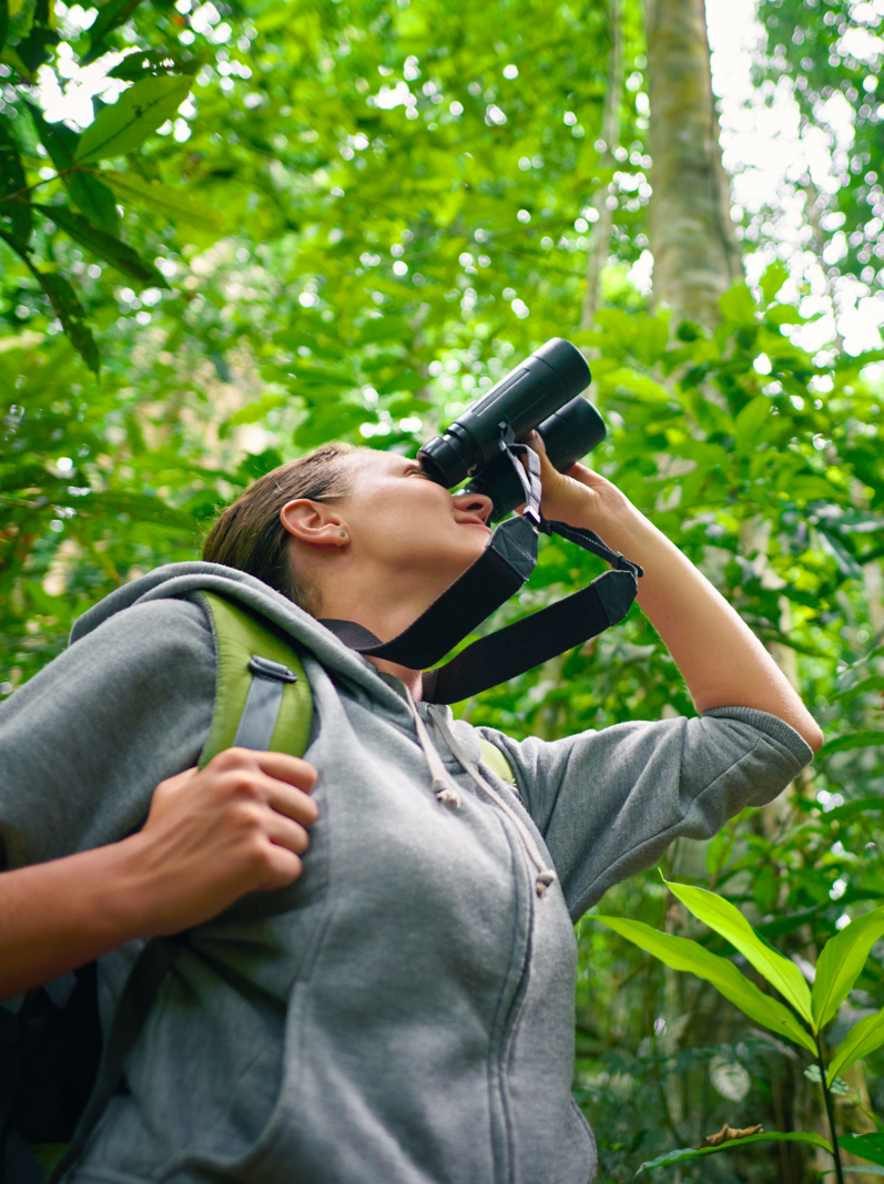 Tourist looking through binoculars considers wild birds in the jungle. Bird watching tours