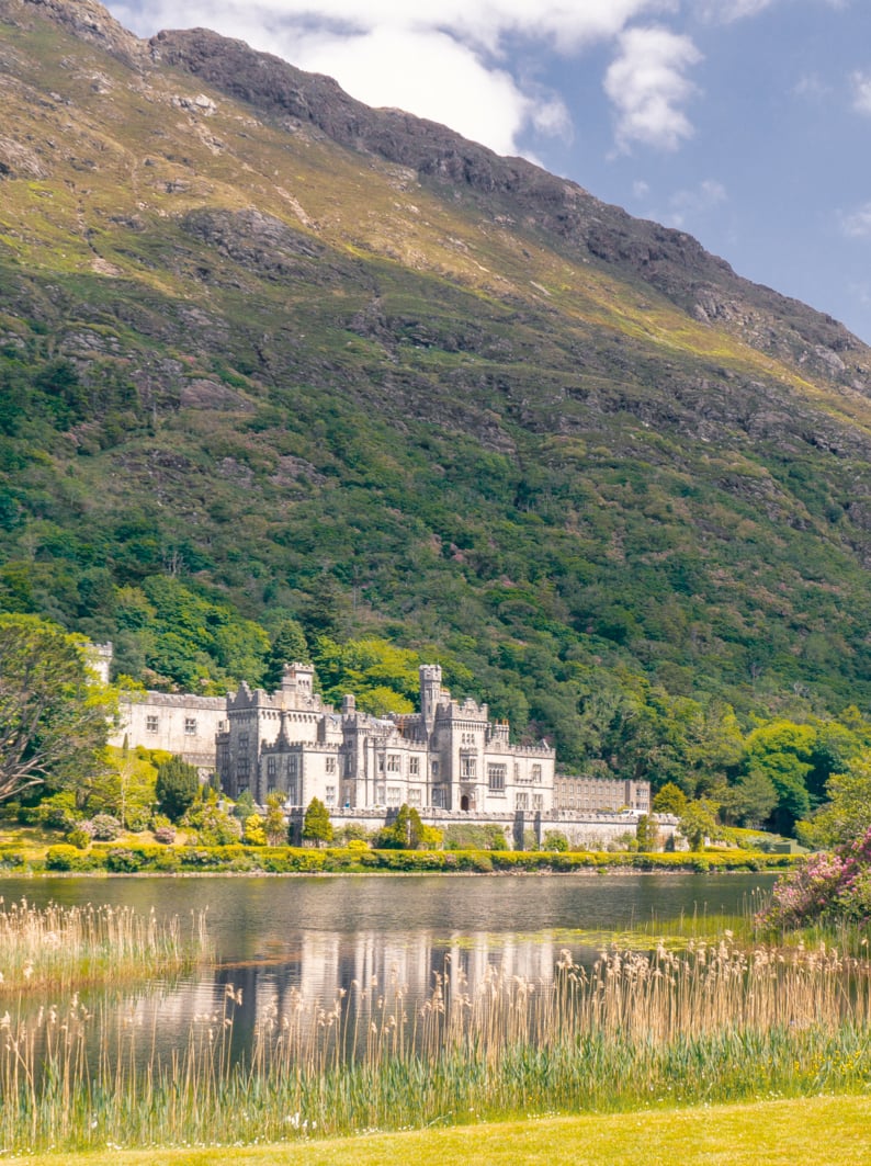 Dreamlike castle with a beautiful lake, tall reed, green grass and purple rhododendron flowers against a rocky mountain landscape. Kylemore Abbey in Connemara, County Galway, Ireland.