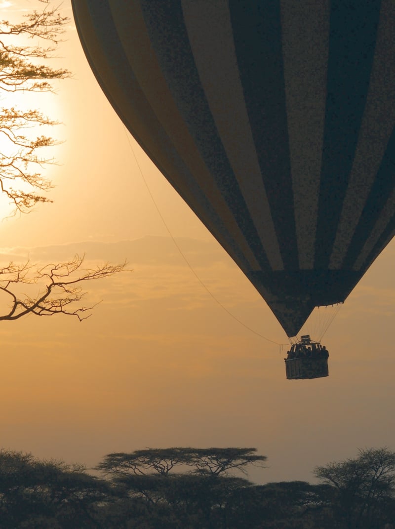 Hot air balloon flying over savannah at sunrise, Serengeti National Park, Tanzania