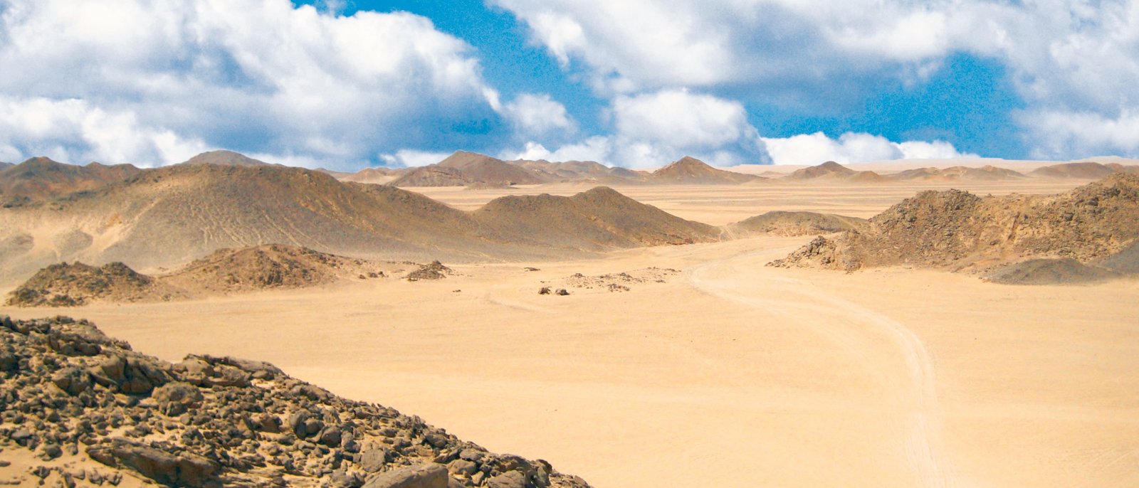 Sand desert and dunes