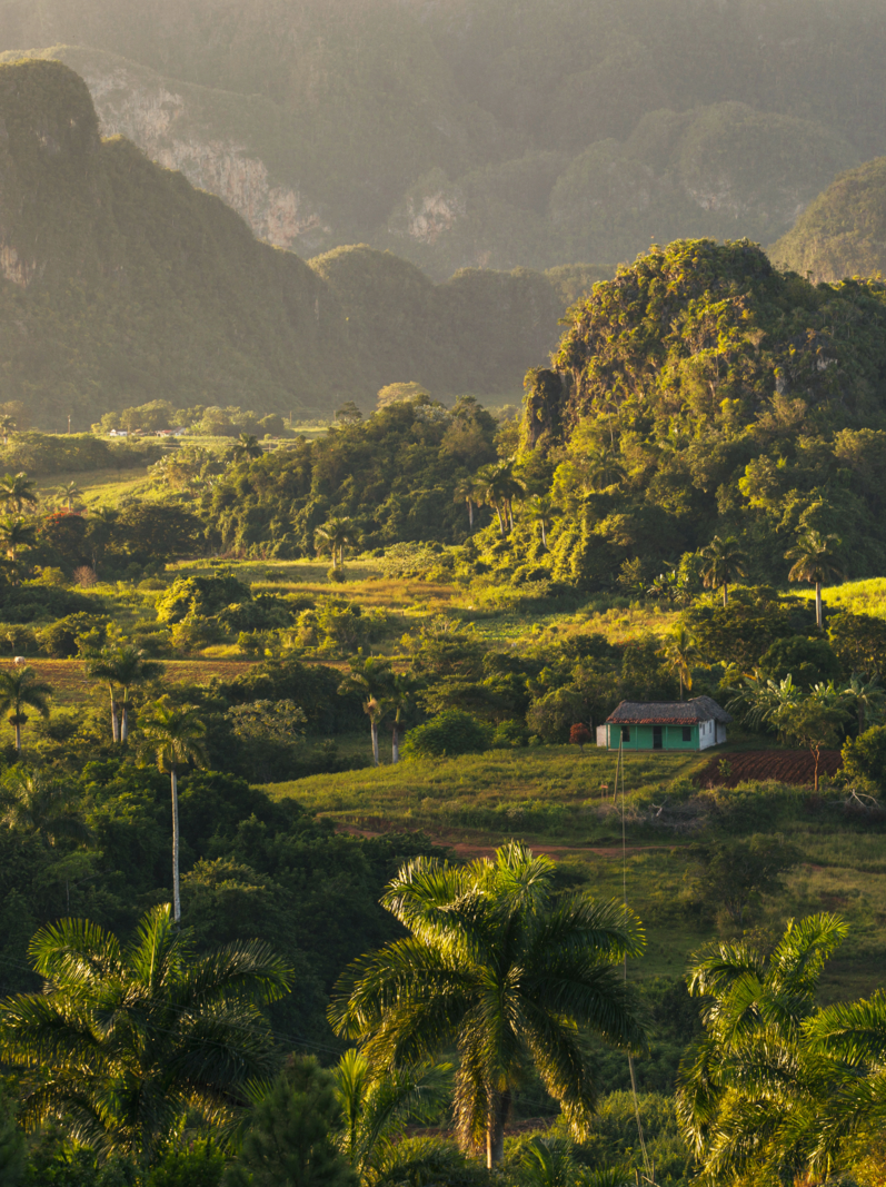 Vue panoramique sur un paysage avec des mogotes dans la vallée de Vinales, Cuba
