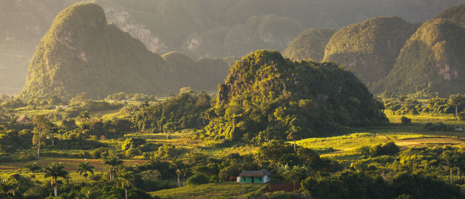 Vue panoramique sur un paysage avec des mogotes dans la vallée de Vinales, Cuba