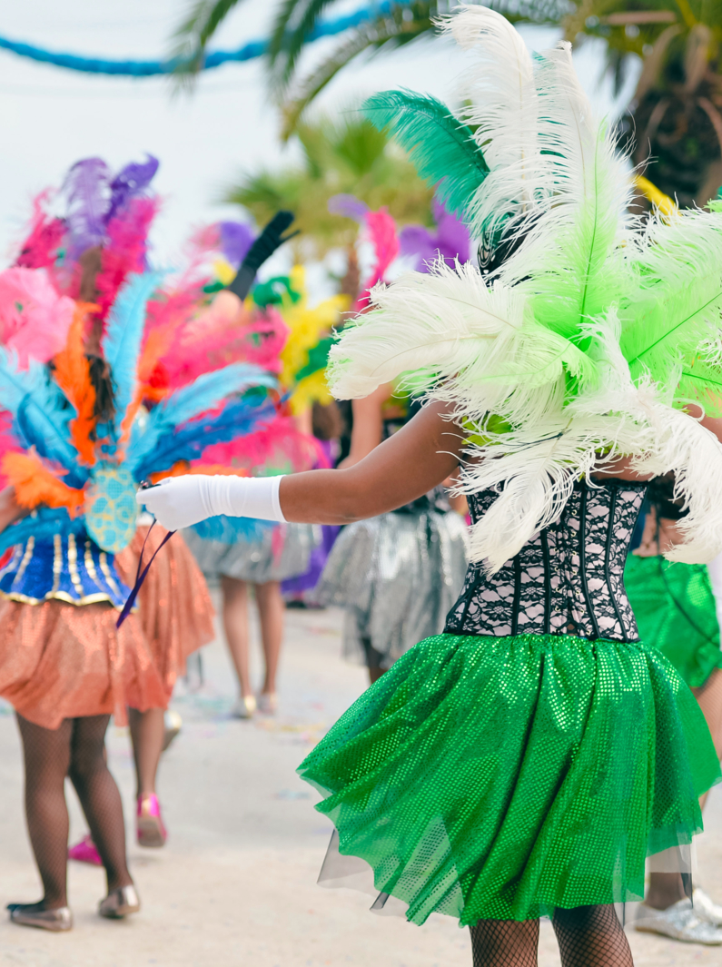 Vue de dos des participants à la parade du carnaval avec des plumes colorées