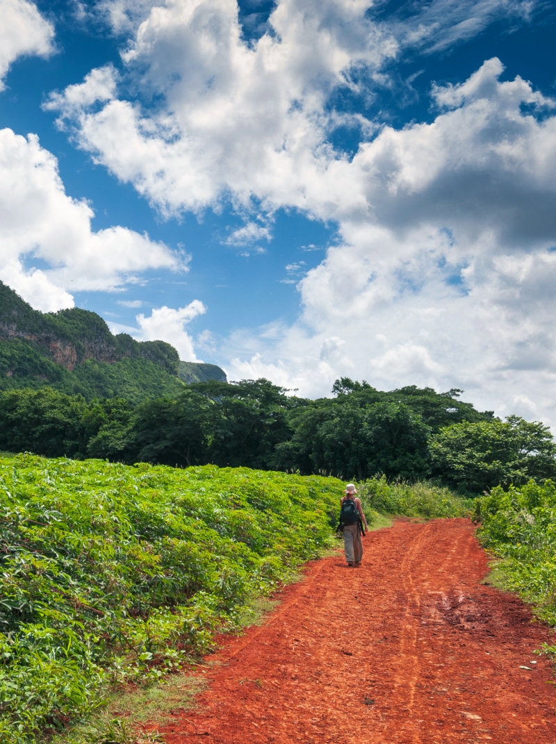 taking a walk in valley of Vinales park,Cuba