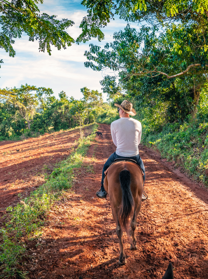 A man in a white top Horse riding in the Vinales valley in Cuba.