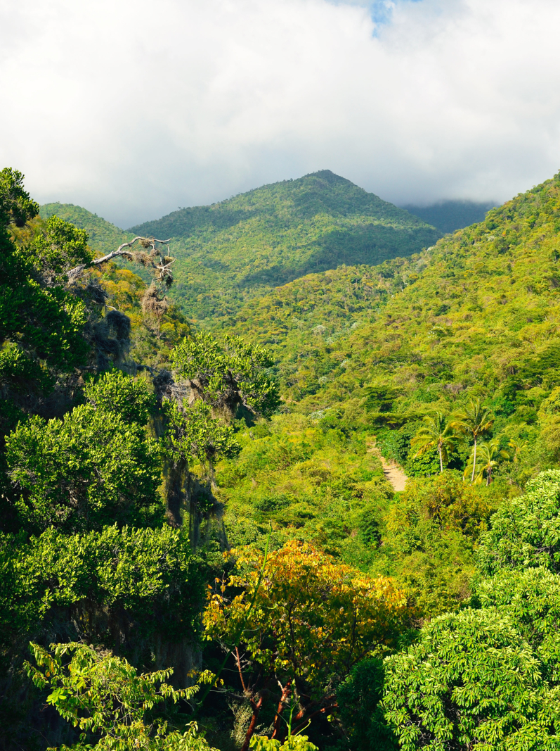 Mountain range Sierra Maestra National Park on Cuba