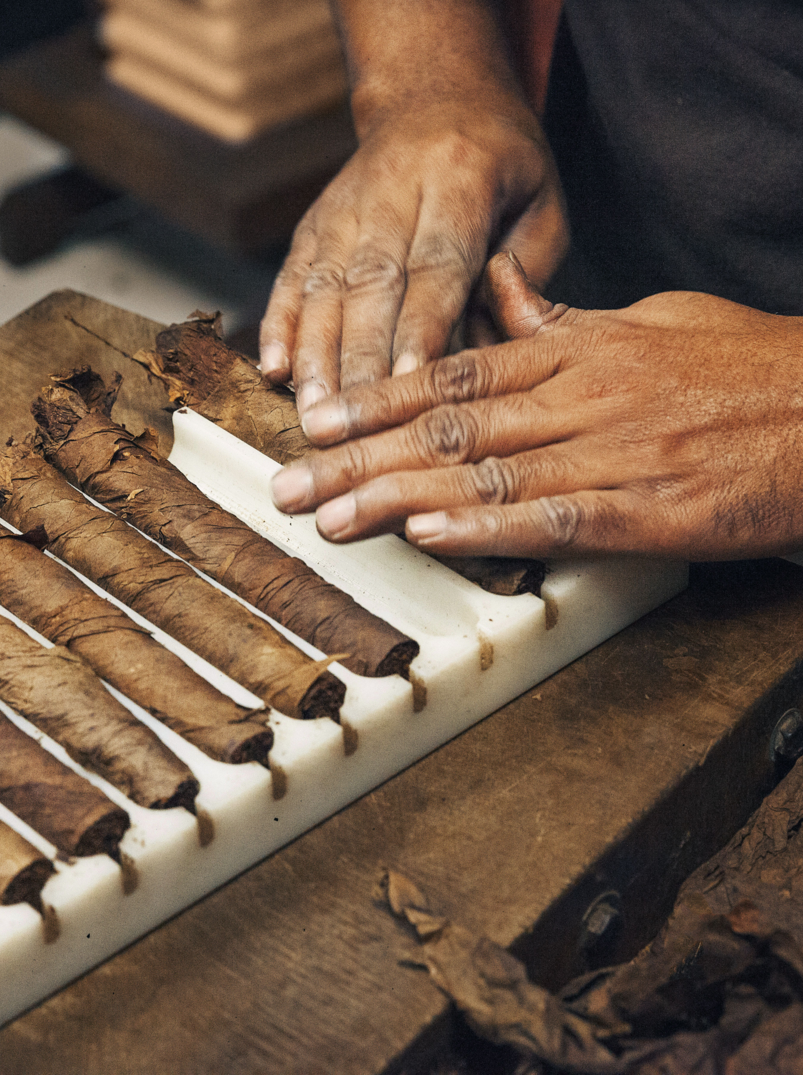 Close up on man's hands making a cigar