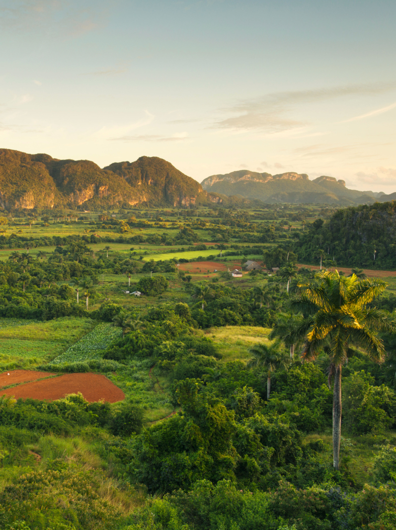 Panoramic view over landscape with mogotes in Vinales Valley ,Cuba